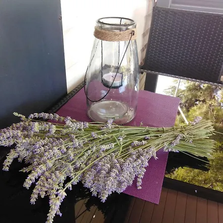 Ferienhaus Mobile Lavanda Jezera